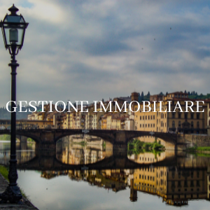 images/flexgallery/home/home/lestione-immobiliare.png